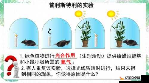 优质 JY 灌溉系统：让植物茁壮成长的秘密武器